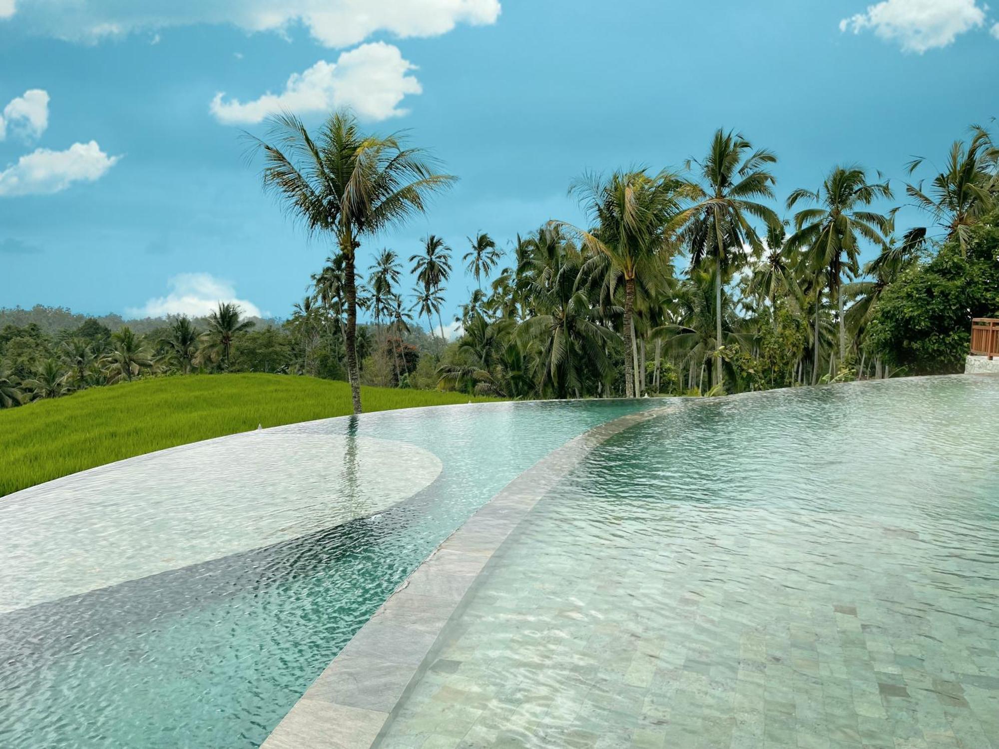 Puri Dajuma Terrace Eco Lodge & Spa Selemadeg  Esterno foto