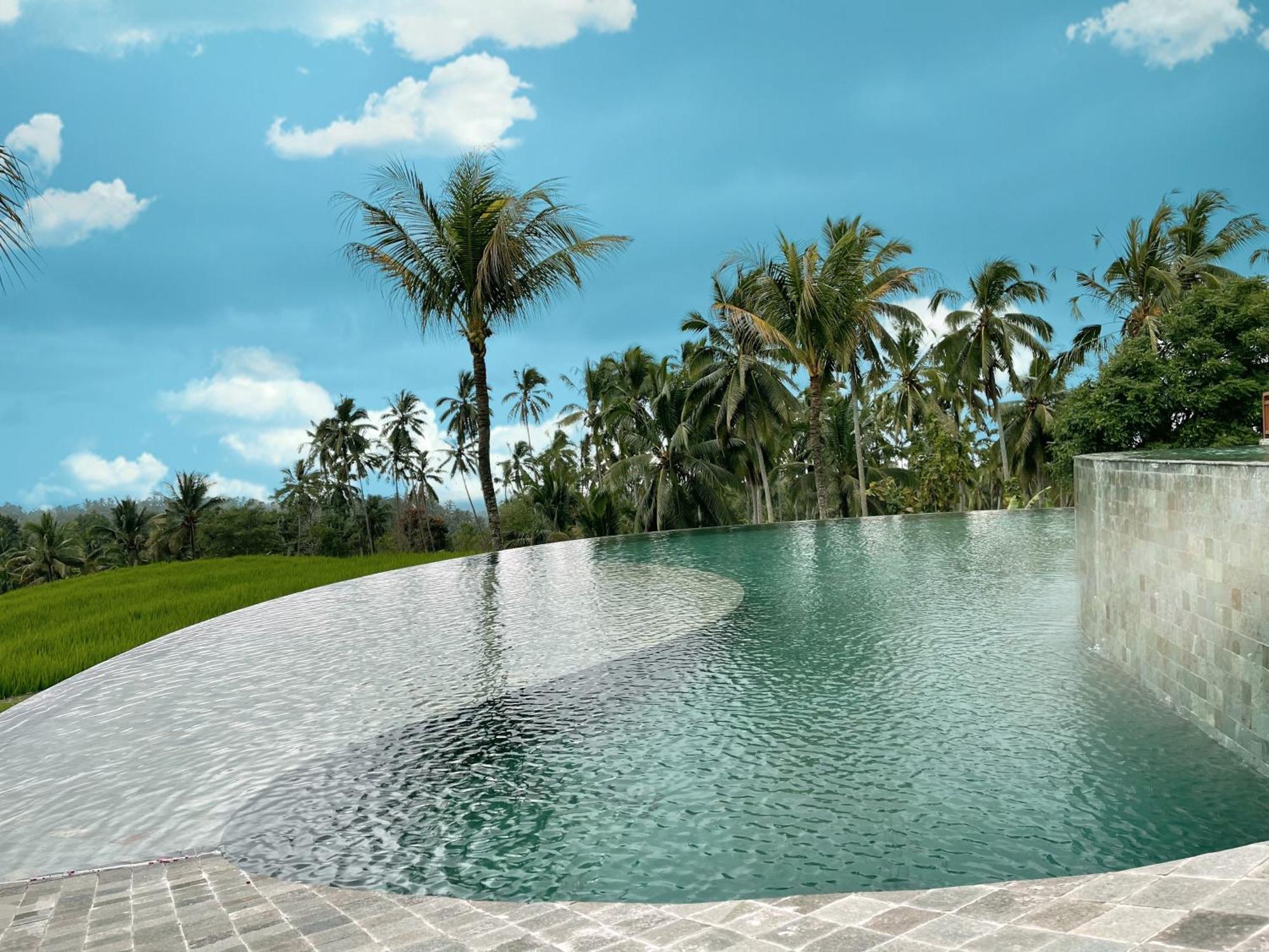 Puri Dajuma Terrace Eco Lodge & Spa Selemadeg  Esterno foto