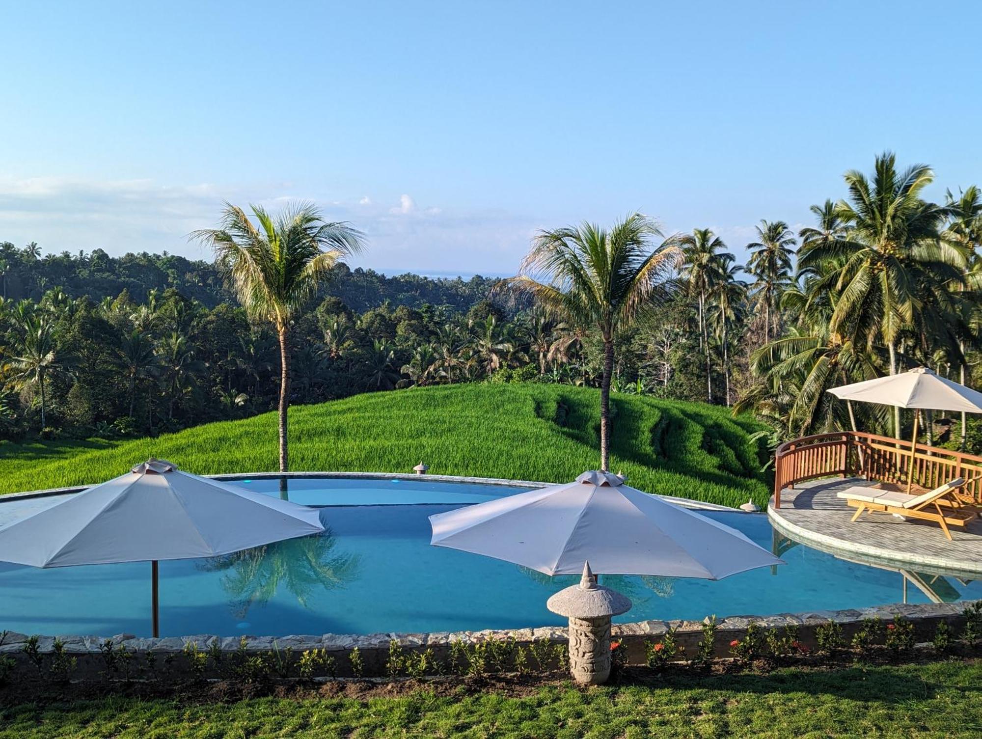 Puri Dajuma Terrace Eco Lodge & Spa Selemadeg  Esterno foto