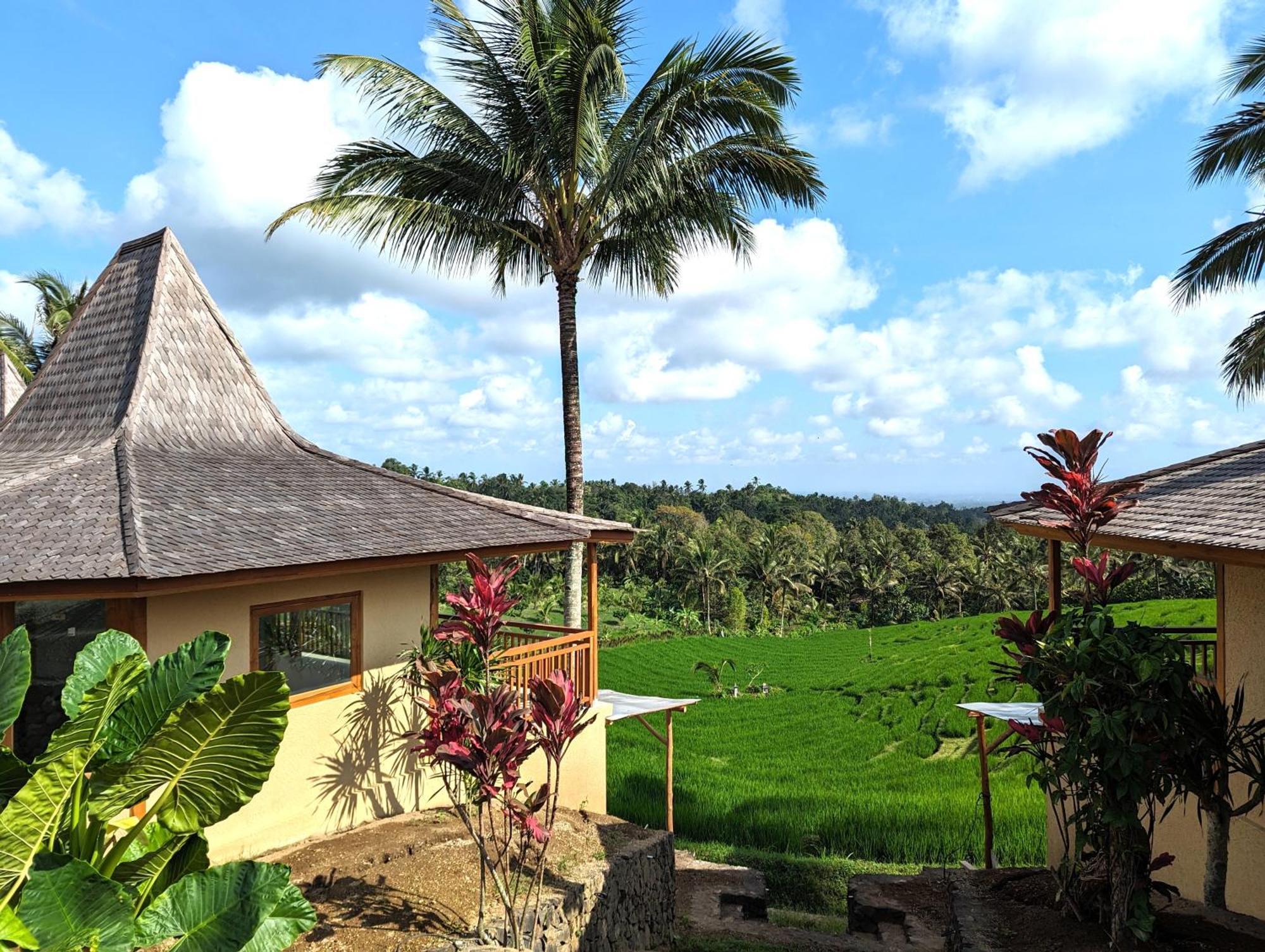 Puri Dajuma Terrace Eco Lodge & Spa Selemadeg  Esterno foto