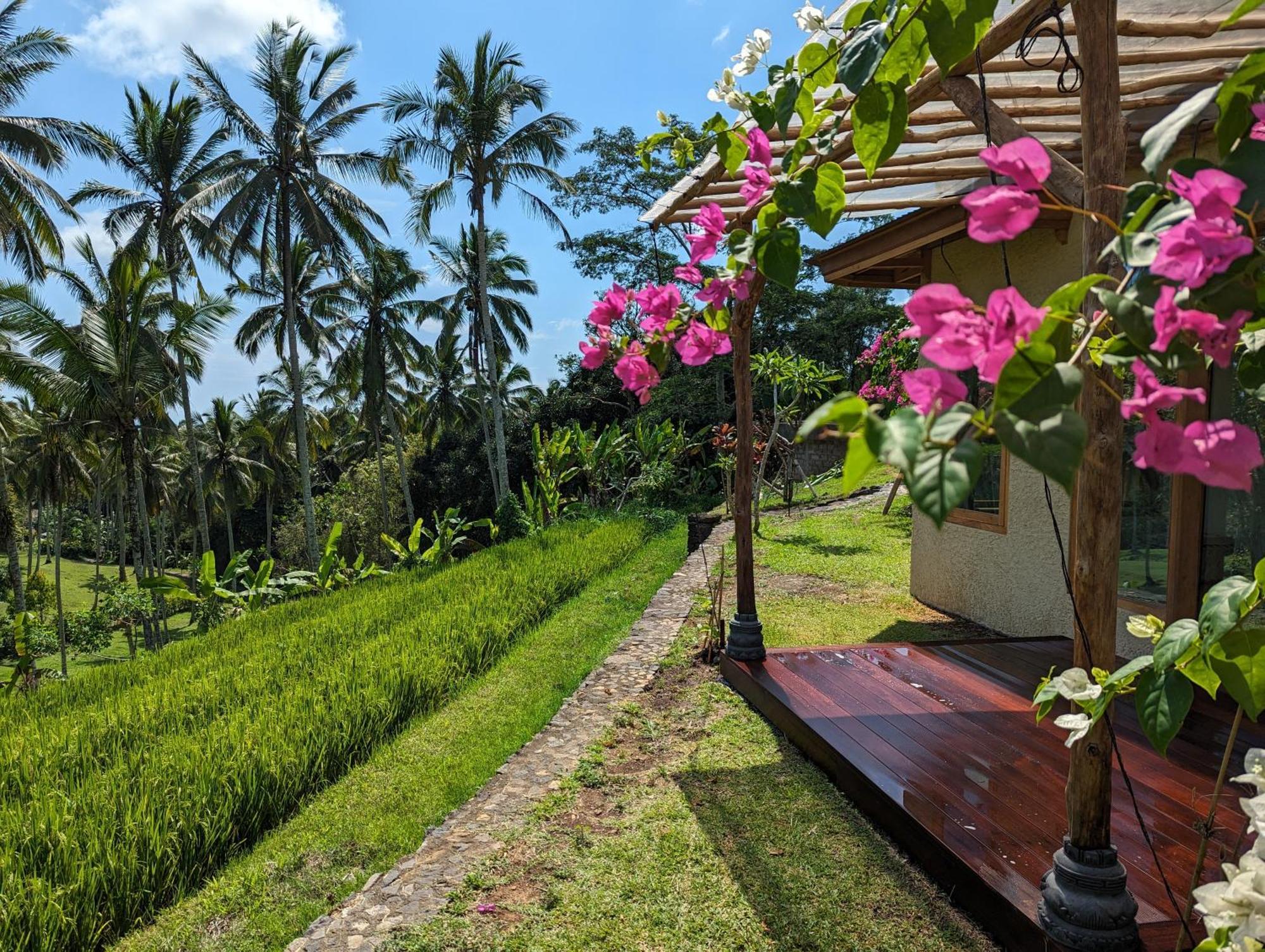 Puri Dajuma Terrace Eco Lodge & Spa Selemadeg  Esterno foto