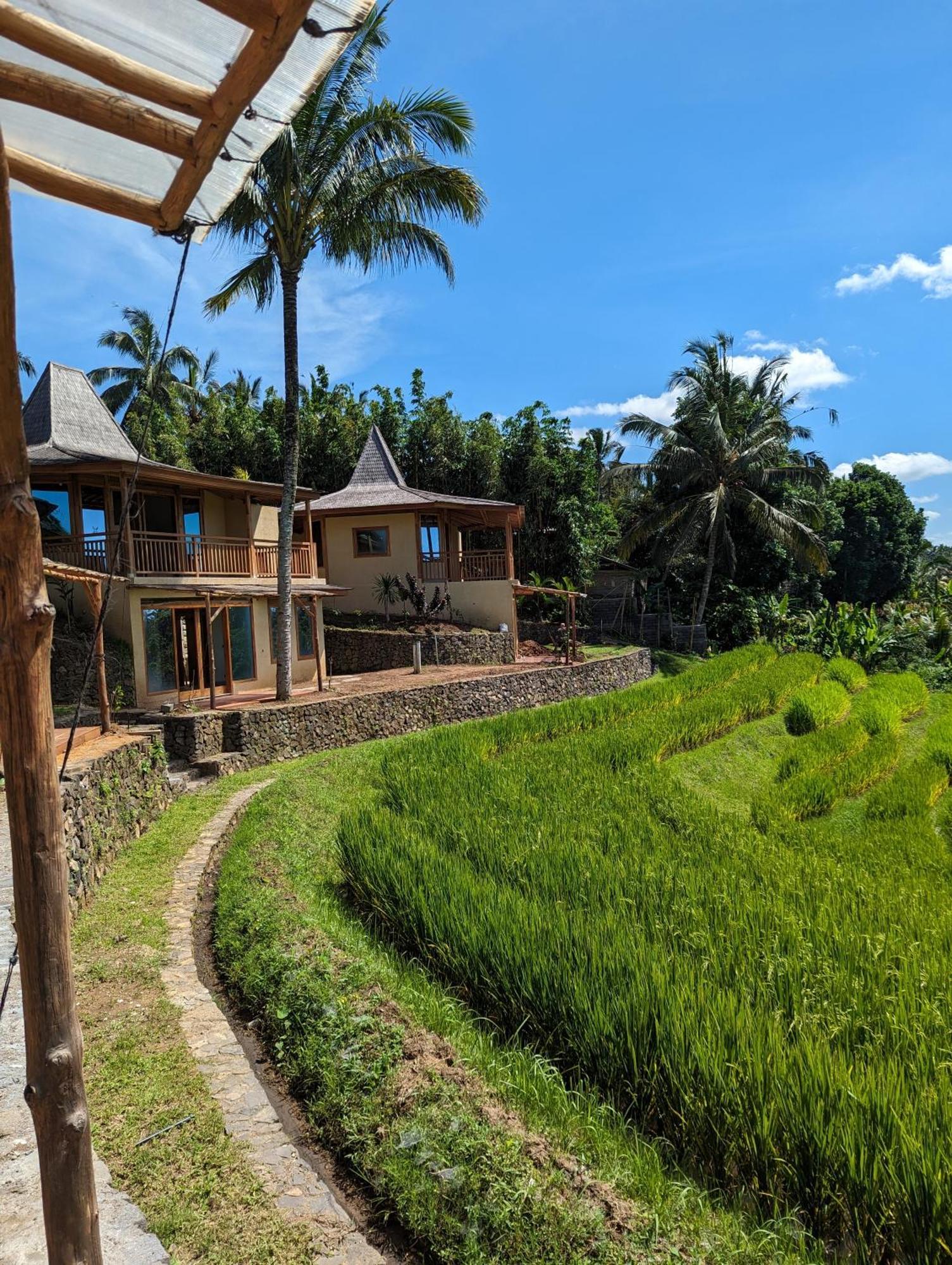 Puri Dajuma Terrace Eco Lodge & Spa Selemadeg  Esterno foto