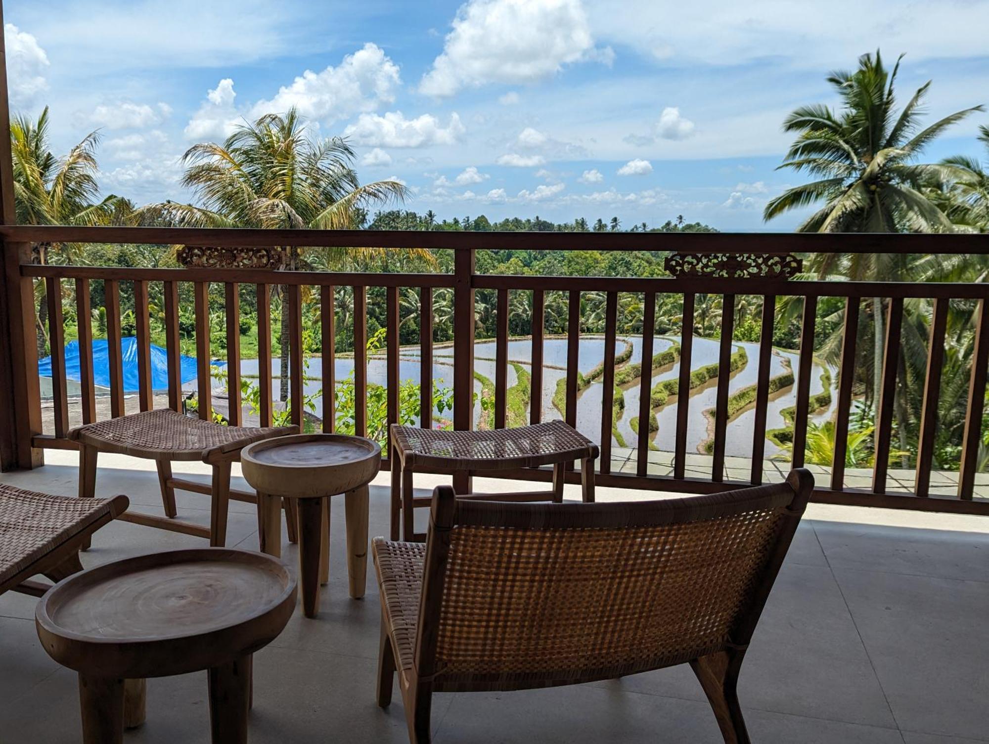 Puri Dajuma Terrace Eco Lodge & Spa Selemadeg  Esterno foto